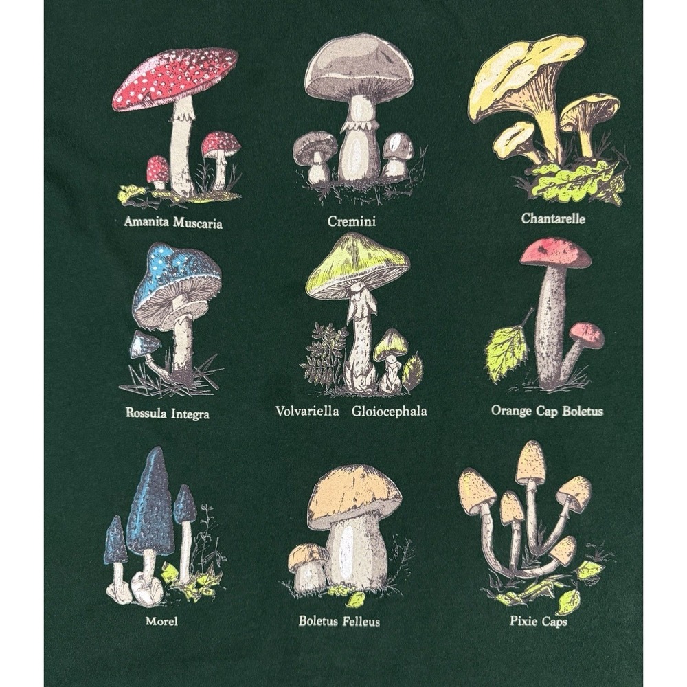 Obsessive Love Cottagecore Mushroom Graphic Green Goblincore Medium Cropped Tee - Picture 2 of 4